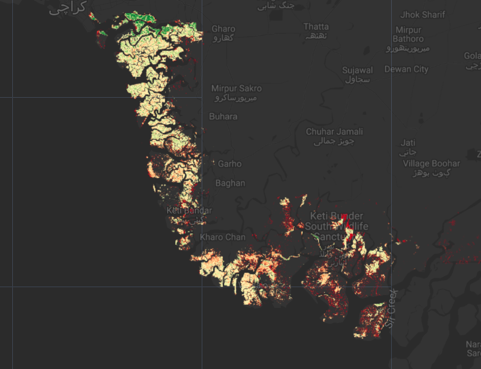 Carbon Storage Pakistan preview