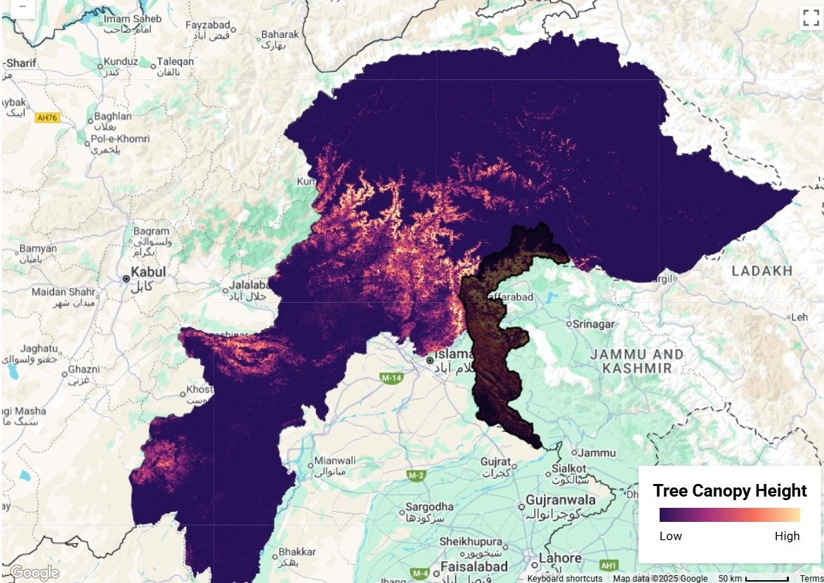 WHiCH Western Himalaya Canopy Height preview