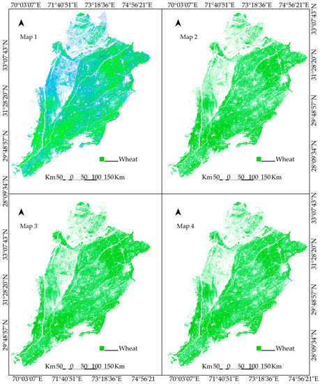 Wheat Area Maps Punjab